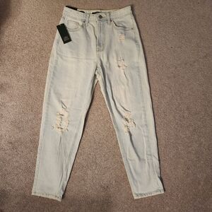 Wild Fable Distressed Light Wash High Rise Mom Jeans 0 25